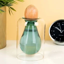 Avocado ontkiemvaas