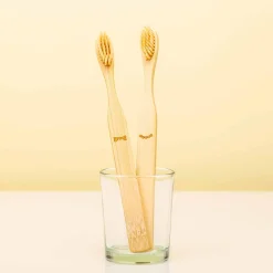 Bamboe tandenborstels (set van 2)