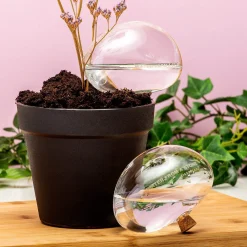 Bewateringsstenen Van Glas (Set Van 2)