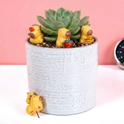 Bloempot capibara’s (set van 4)