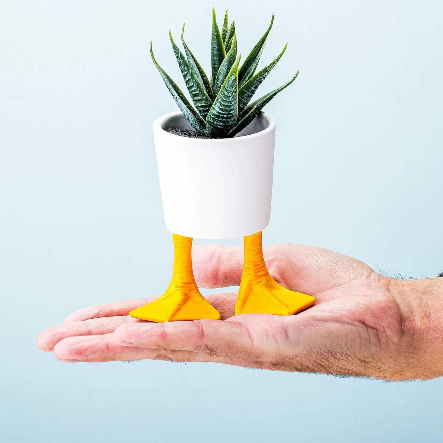 Bloempot met eendenpoten
