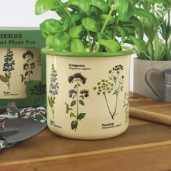Bloempot met kruiden
