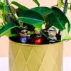 Bloempot rappers (set van 4)