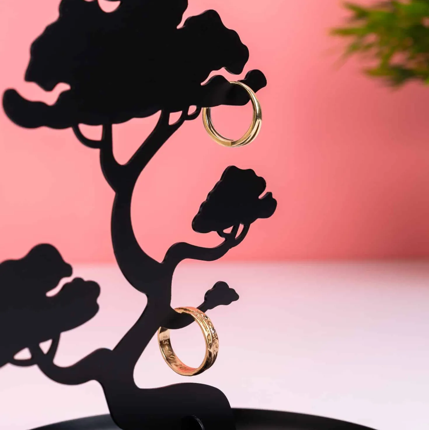 Bonsai sieradenhouder