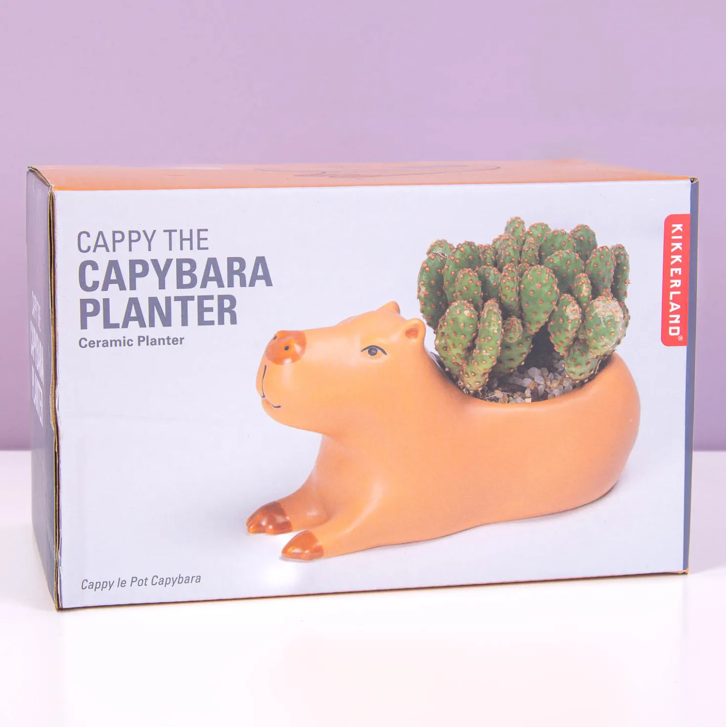 Capibara bloempot