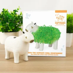 Capibara bloempot met zaadjes