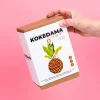 DIY Kokedama set