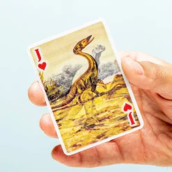 3D Speelkaarten