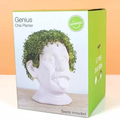 Einstein bloempot met zaadjes