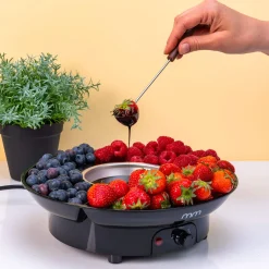 Elektrische fondueset