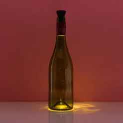 Fleslampje op zonne-energie
