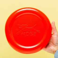 Frisbee voor hond met bacongeur