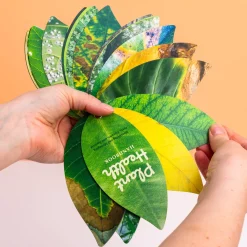 Gezonde planten handboek