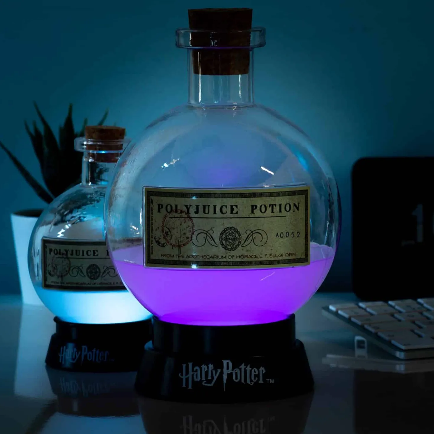 Harry Potter Potion lamp
