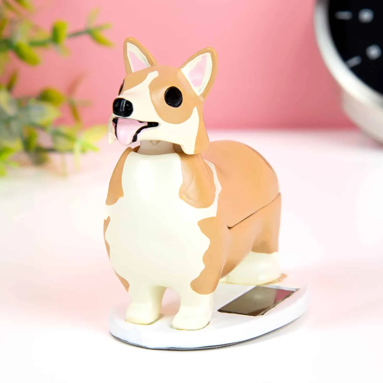 Hondje op zonne-energie