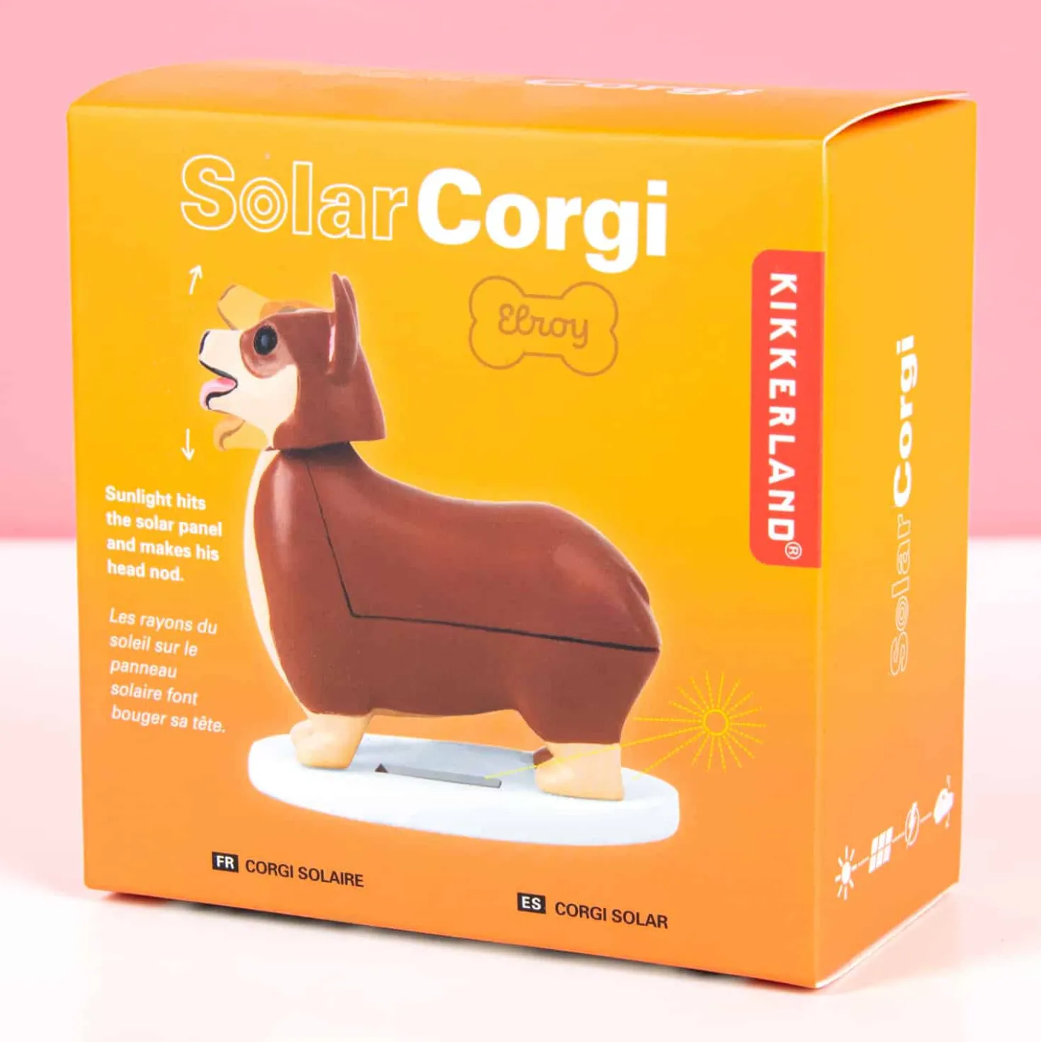 Hondje op zonne-energie