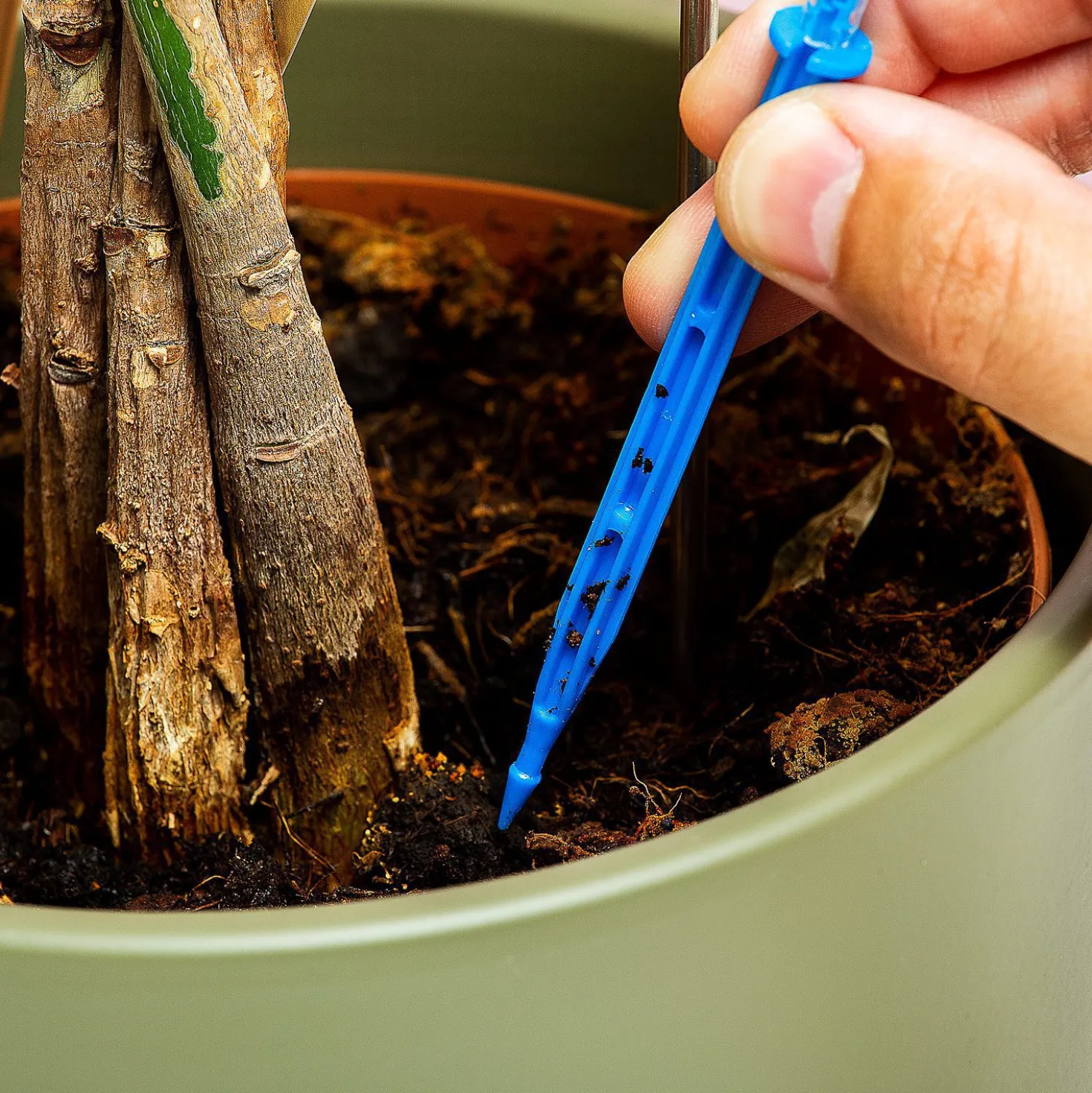 Infuuszak bewateringssysteem voor planten