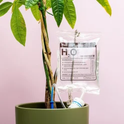 Infuuszak bewateringssysteem voor planten