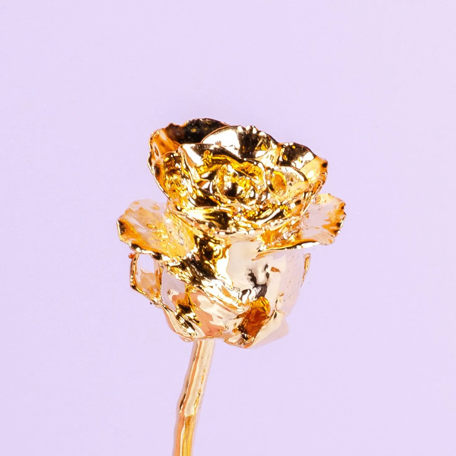 24 karaat gouden roos