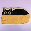 Kat in doos deurmat