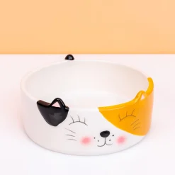 Kat voerbak met kattengezicht
