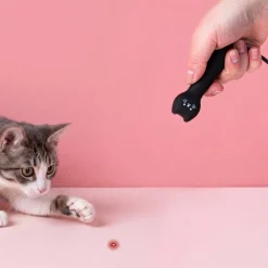 Kiko kattenlaser