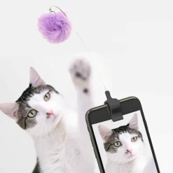 Kitty phone clip