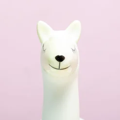 Lama bloempot met zaadjes
