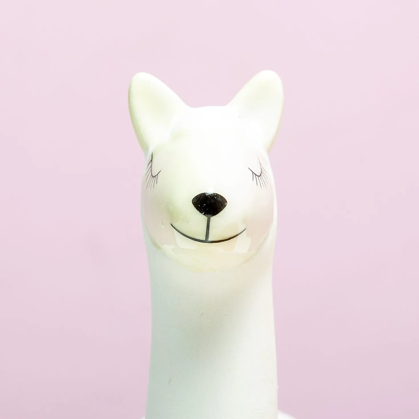 Lama bloempot met zaadjes