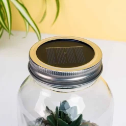 Lichtgevend terrarium