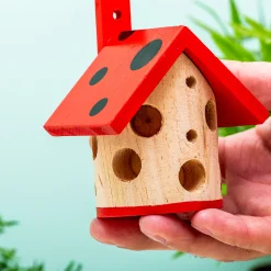 Lieveheersbeestjes huisje