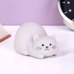 Mini kat nachtlampje
