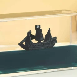 Onzinkbaar piratenschip in fles