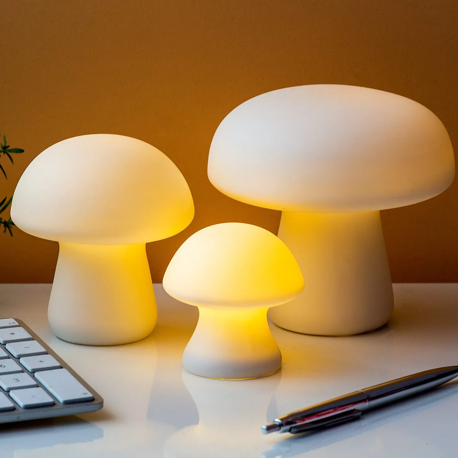 Paddenstoel lamp