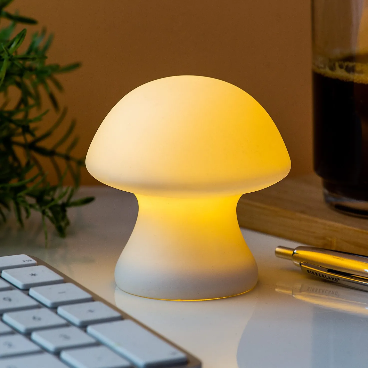 Paddenstoel lamp