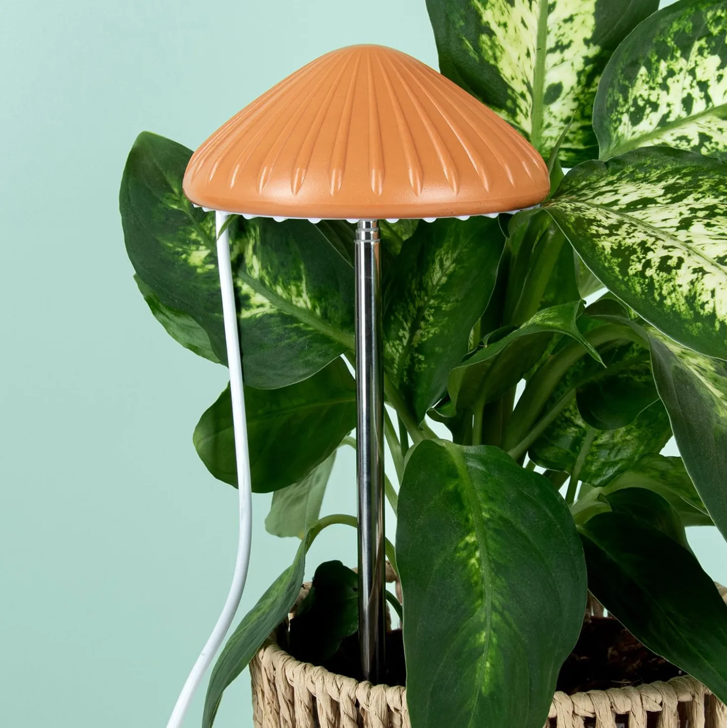 Paddenstoel plantenlamp