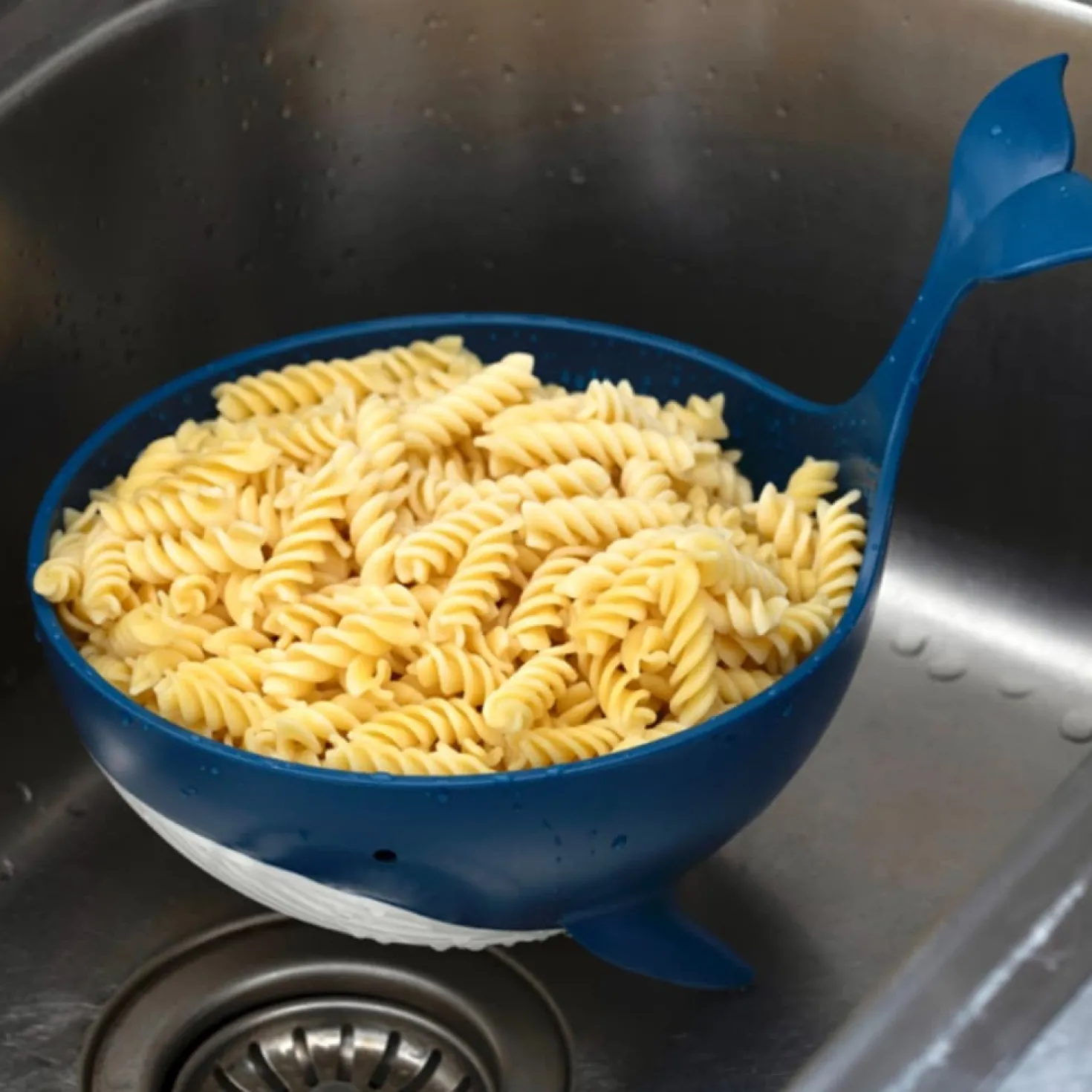 Pastail walvis vergiet