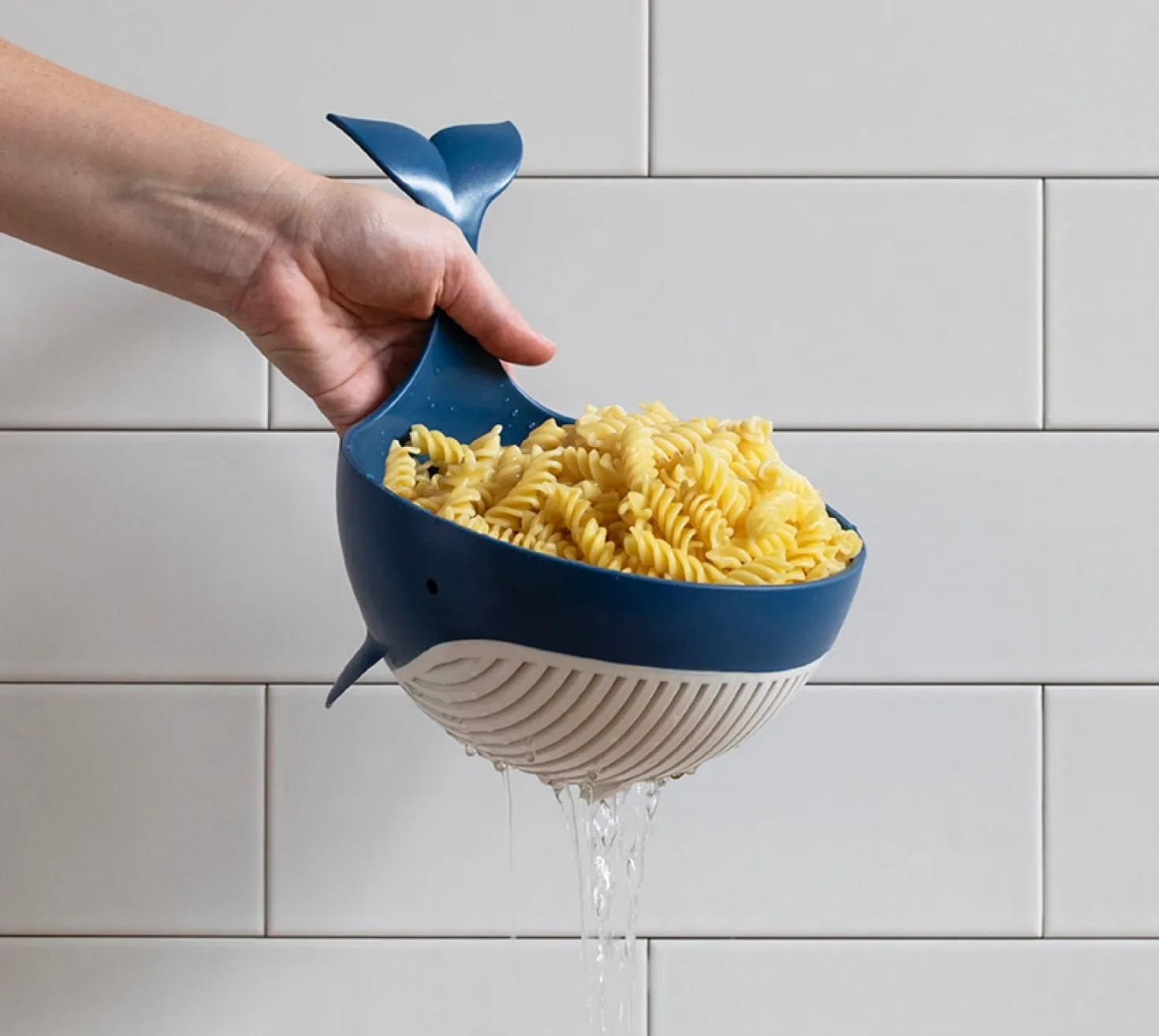 Pastail walvis vergiet