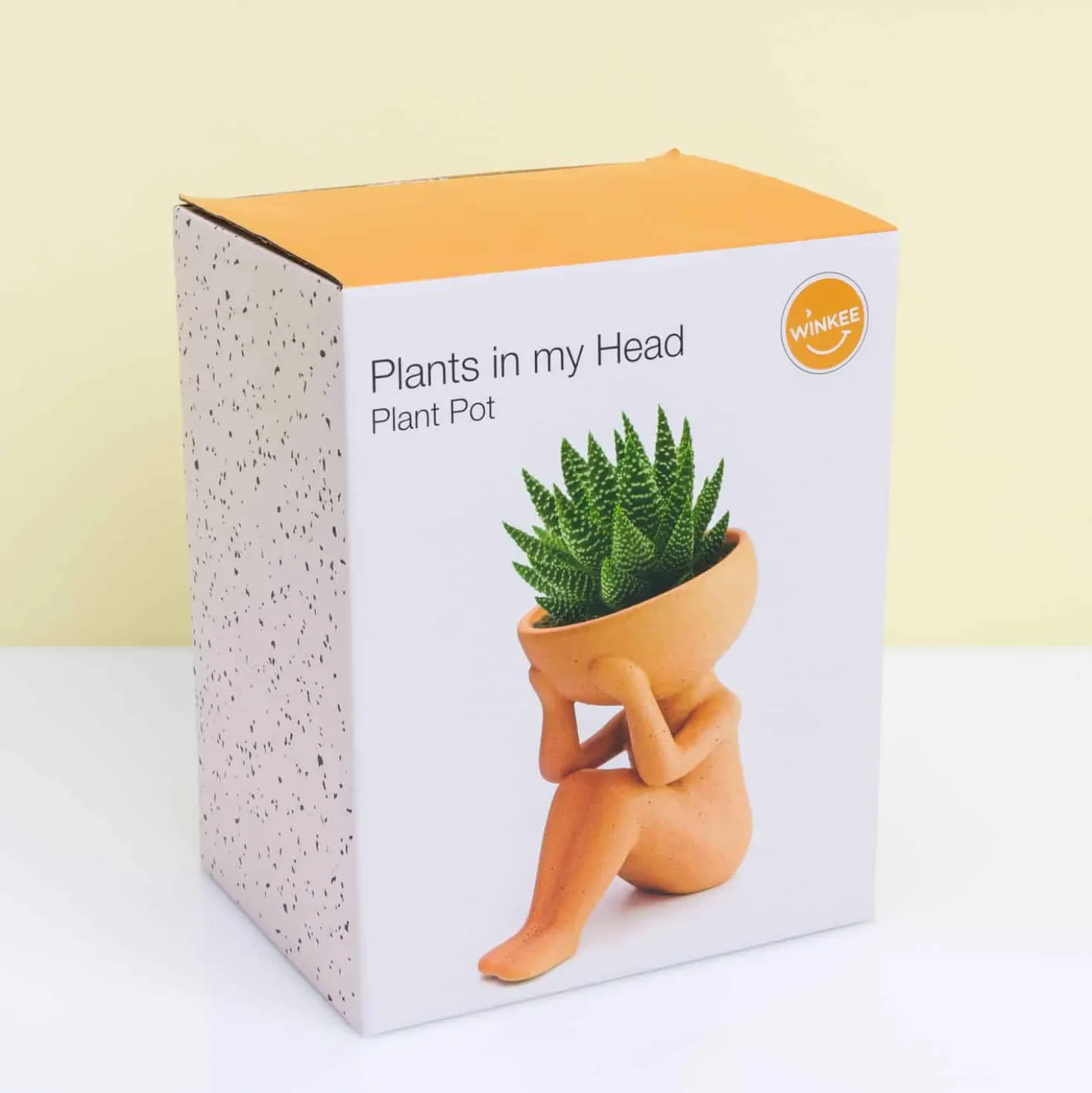 Planten in mijn hoofd bloempot