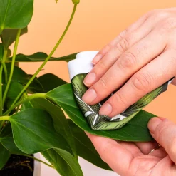 Planten verzorgingskit