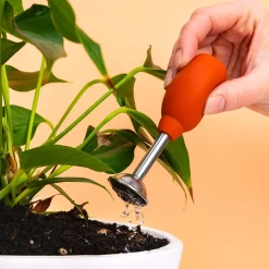 Planten verzorgingskit