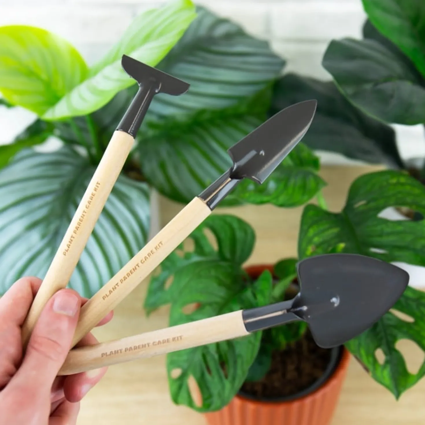 Plantverzorging set (set van 3)