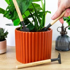 Plantverzorging set (set van 3)