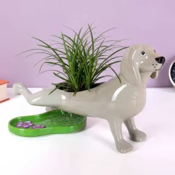 Plassende hond bloempot