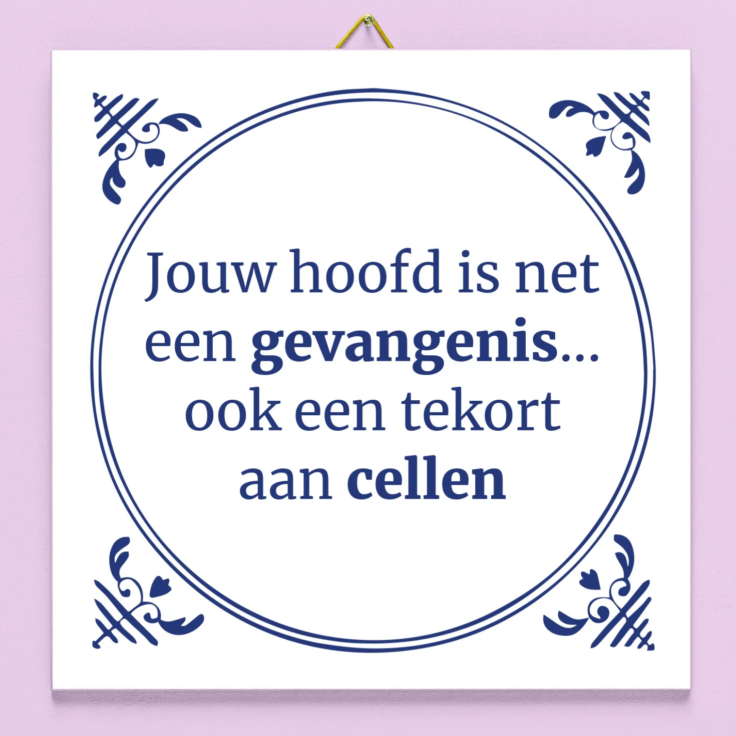 Tegeltje Jouw hoofd is net een gevangenis