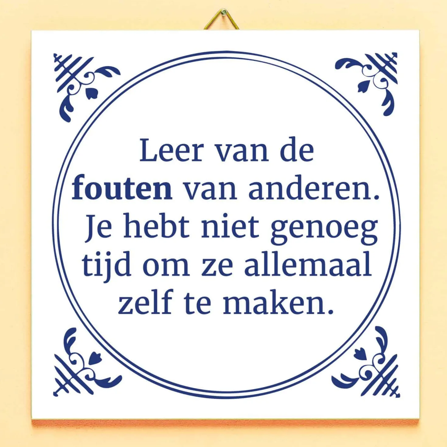Tegeltje Leer van de fouten van anderen