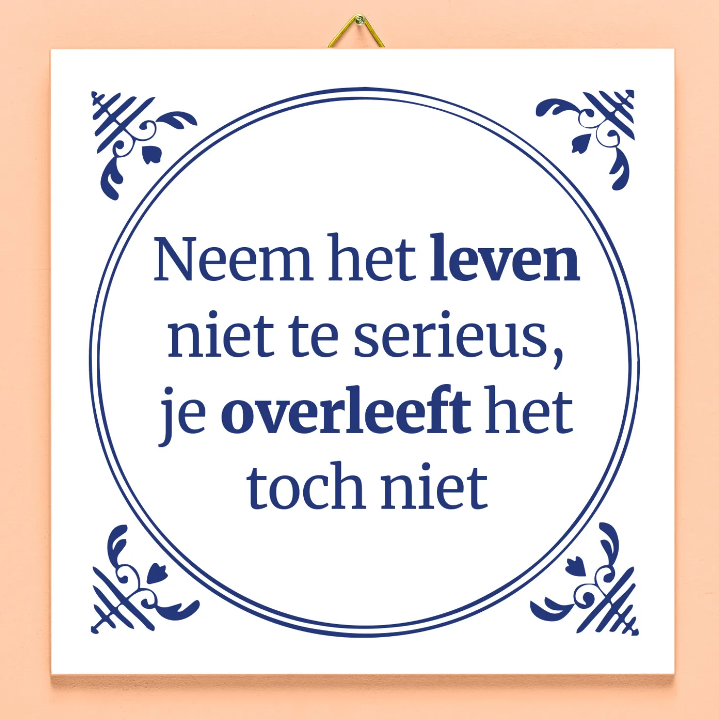 Tegeltje Neem het leven niet te serieus