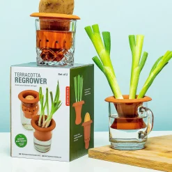 Terracotta regrower voor groenten (set van 2)