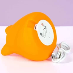 Vos nachtlampje