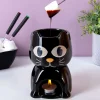 Warmtegevoelige kat fondueset